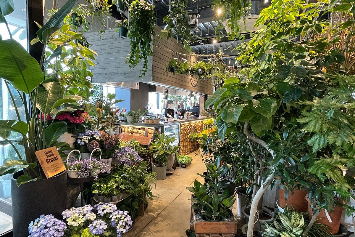 江別市の蔦屋書店内にある「Flower Space Gravel 江別店」