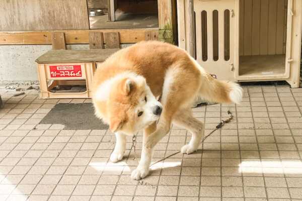 帰省と思わぬ弾丸旅